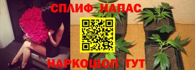 молекула духа Конаково