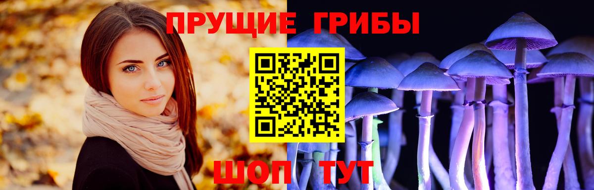 Сургут  сколько стоит  Вход с VPN  Псилоцибиновые грибы Magic Shrooms 