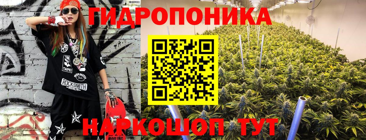 Бошки Шишки марихуана Сургут